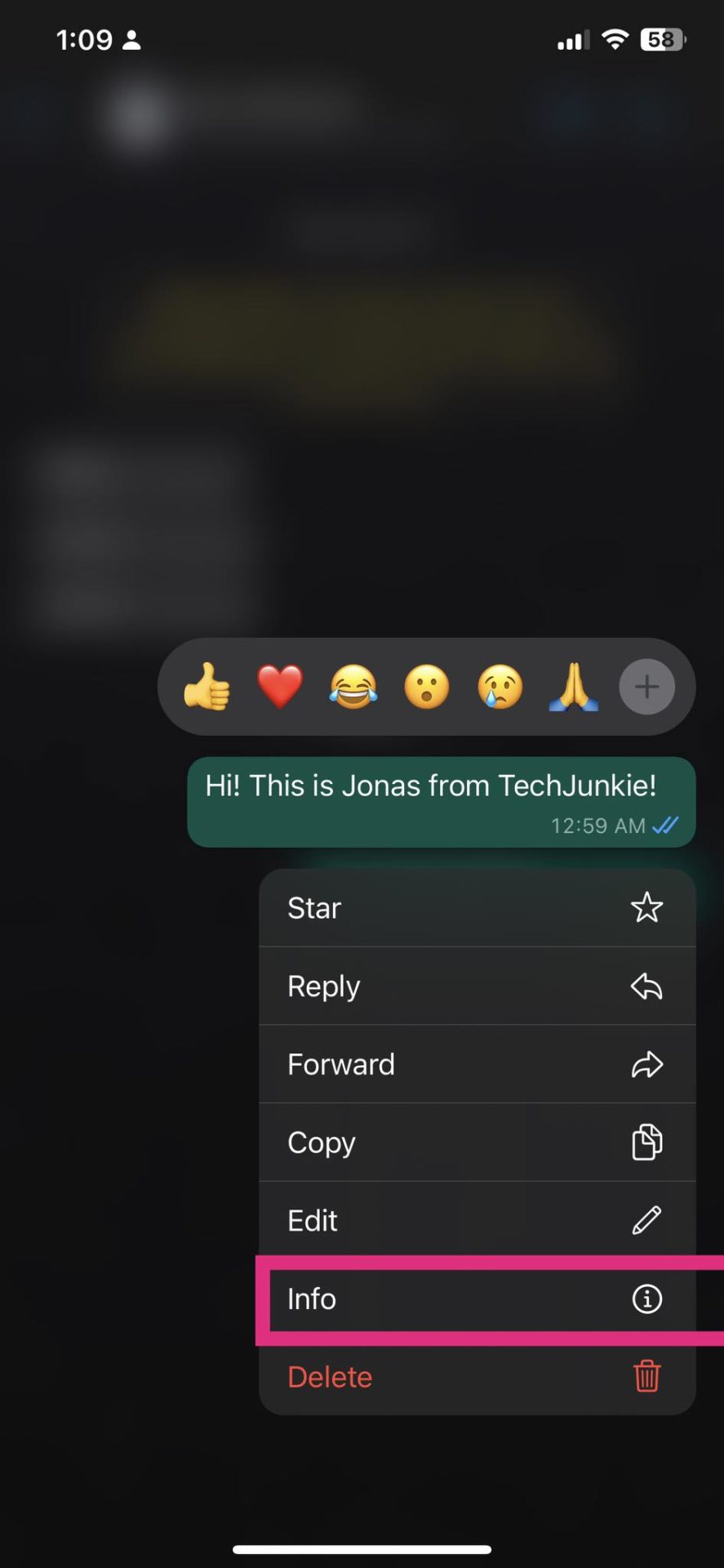 Whatsapp Message Info screen