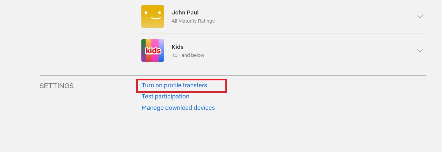 Netflix Toggle Profile Transfers