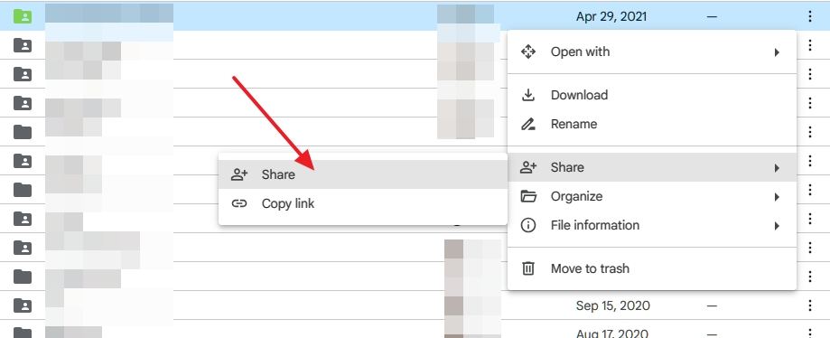 Share File Google Drive