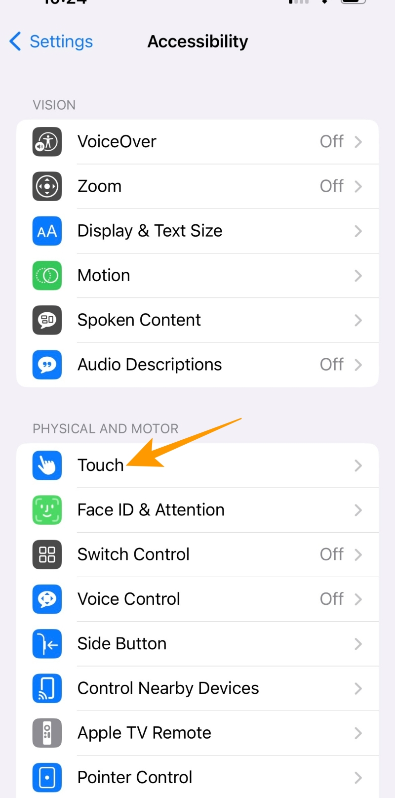 Accessibility options