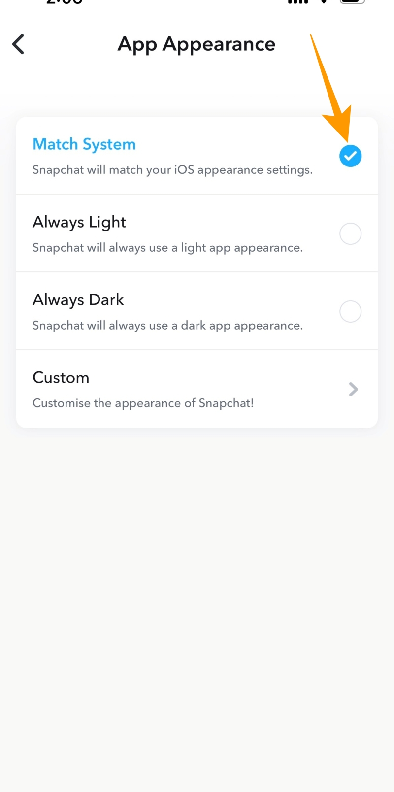 App appearance options on iOS