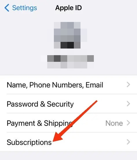 Cancel Zoom Subscription on Apple Store
