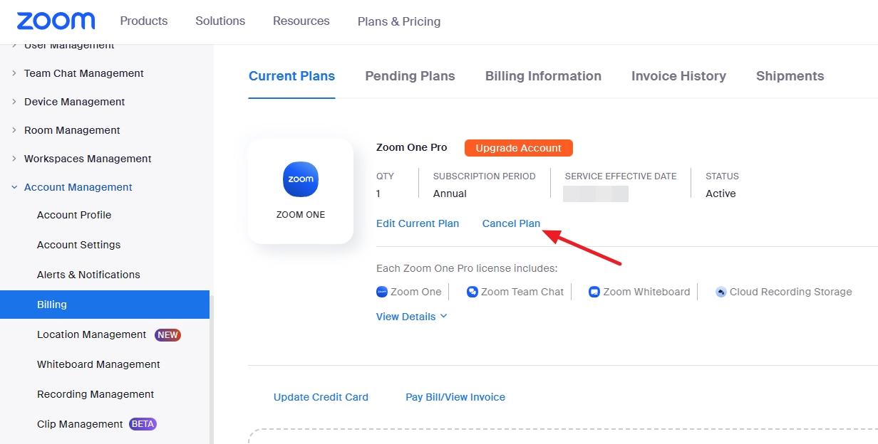 Cancel Zoom Subscription