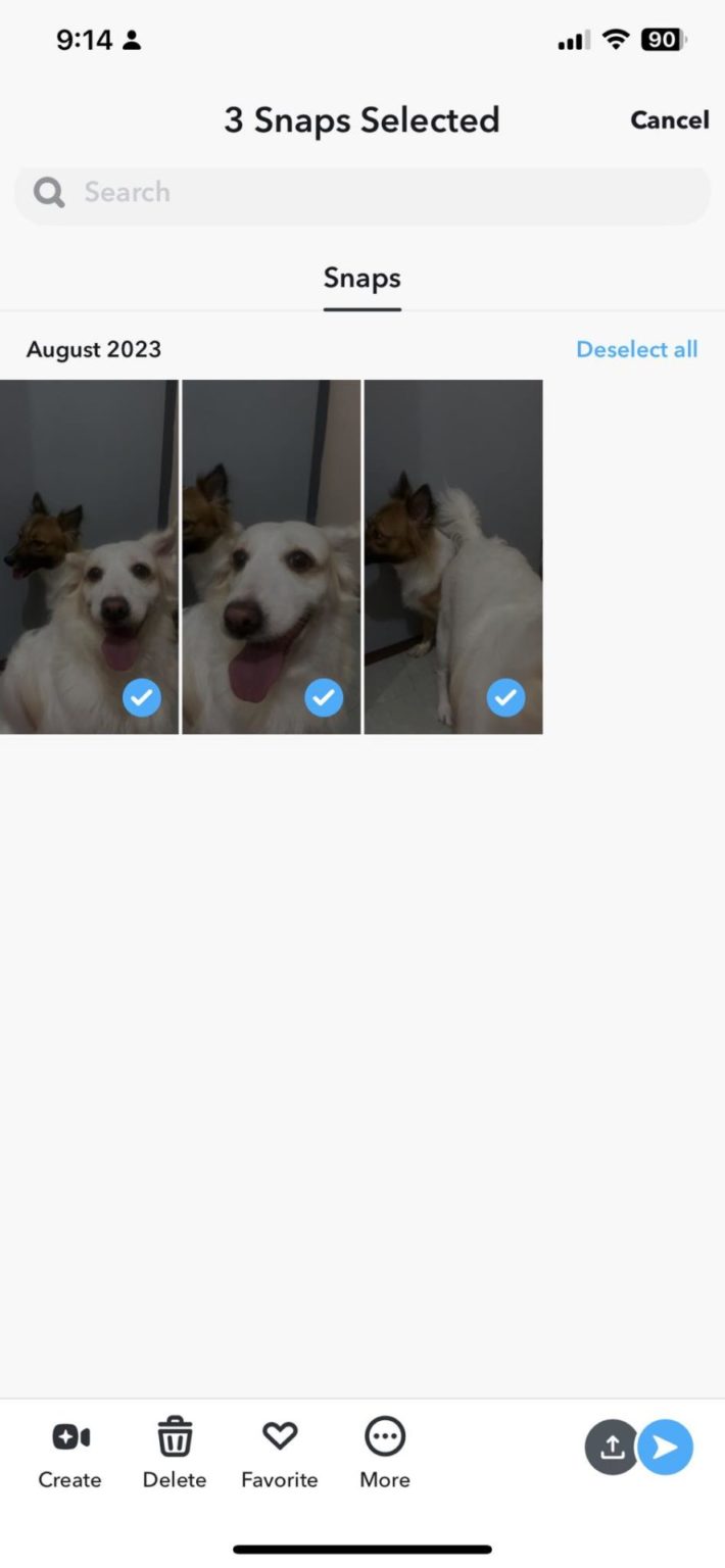 What Happens To Your Memories When You Delete Snapchat? Tech Junkie