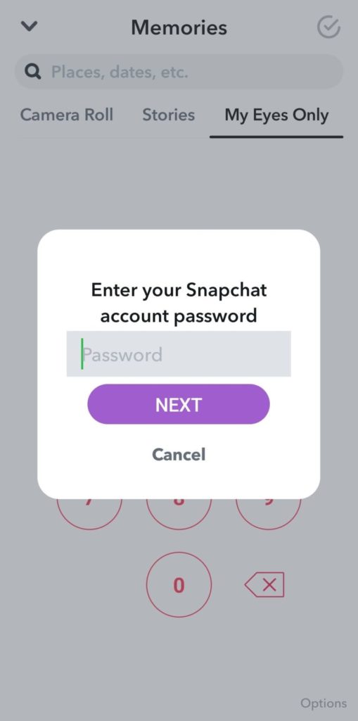 Enter Snapchat account password