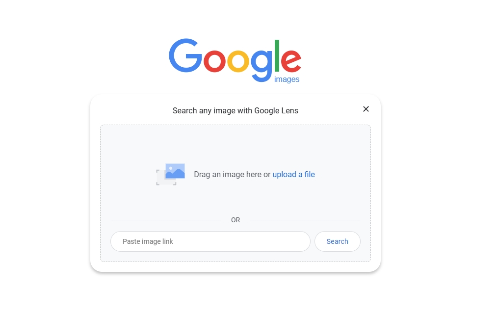 Google Reverse Search