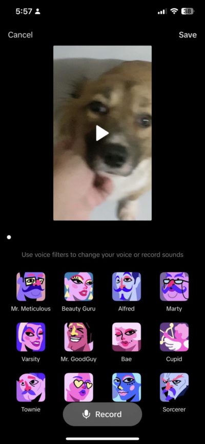 TikTok Voice Filters