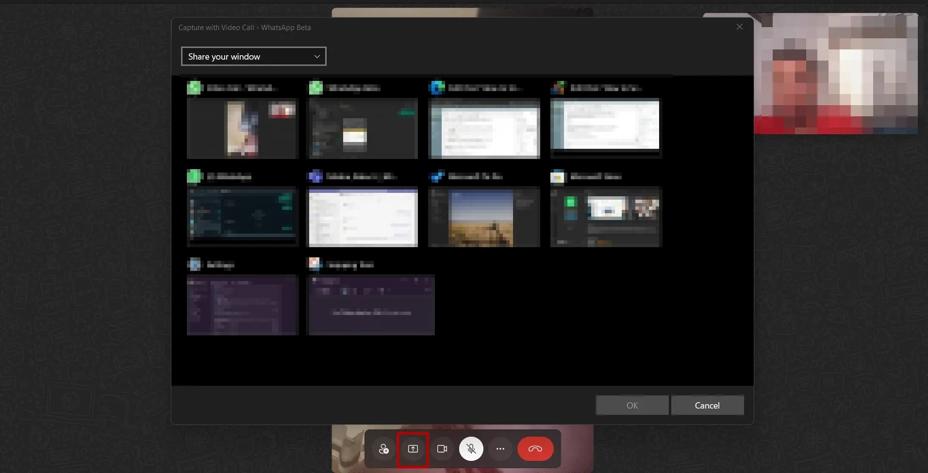WhatsApp Screen Share Desktop