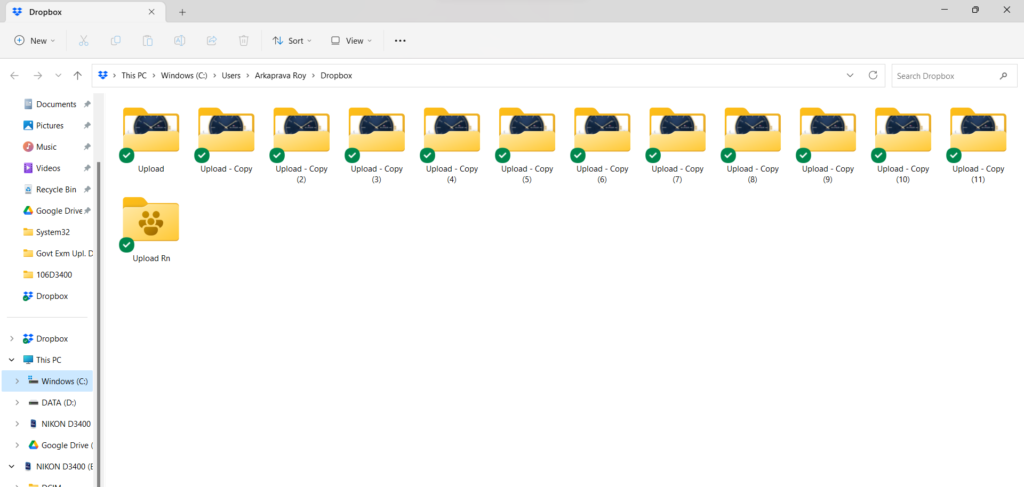 Dropbox Files Folder