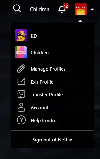 Netflix web Account option