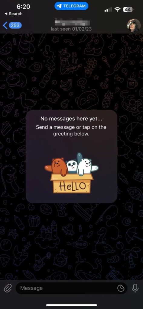 Telegram Chat Screen