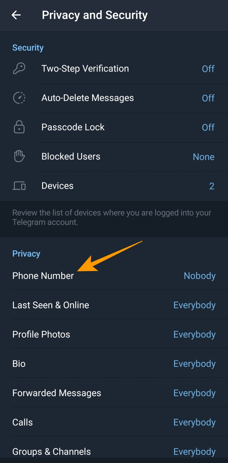 Telegram Privacy and security options
