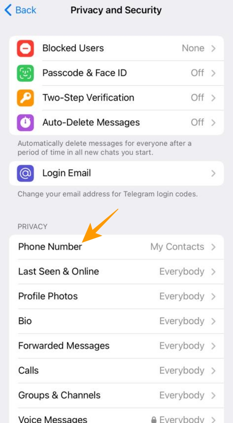 Telegram privacy and security options on iOS