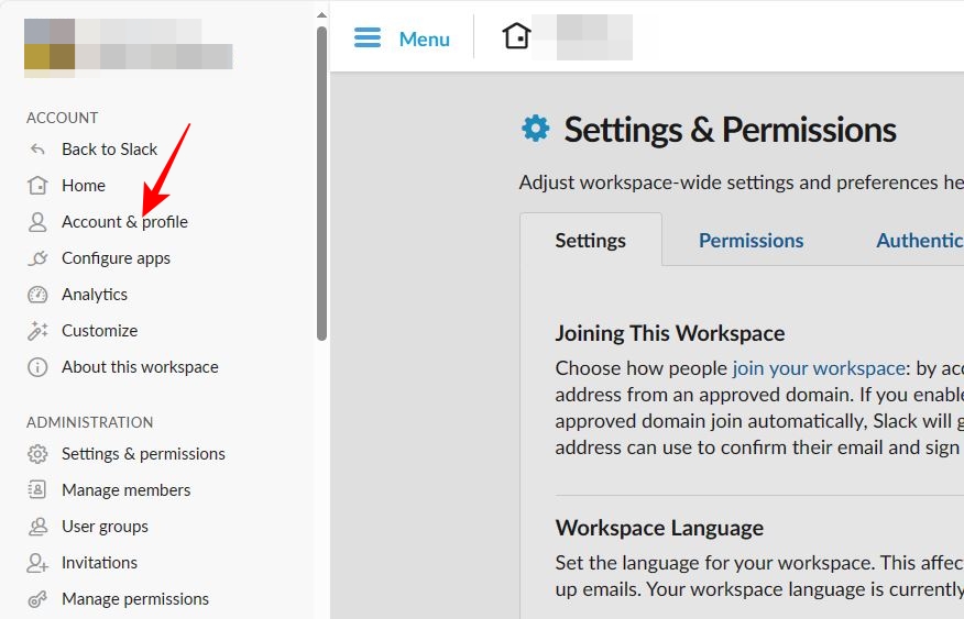 Account & profile in Slack workspace owner account