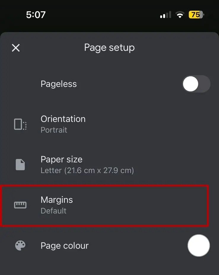 Google Docs Margin