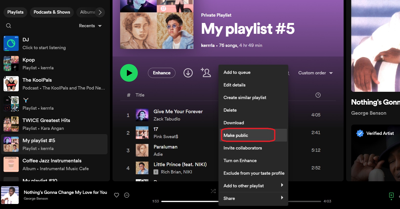 Make Public Spotify