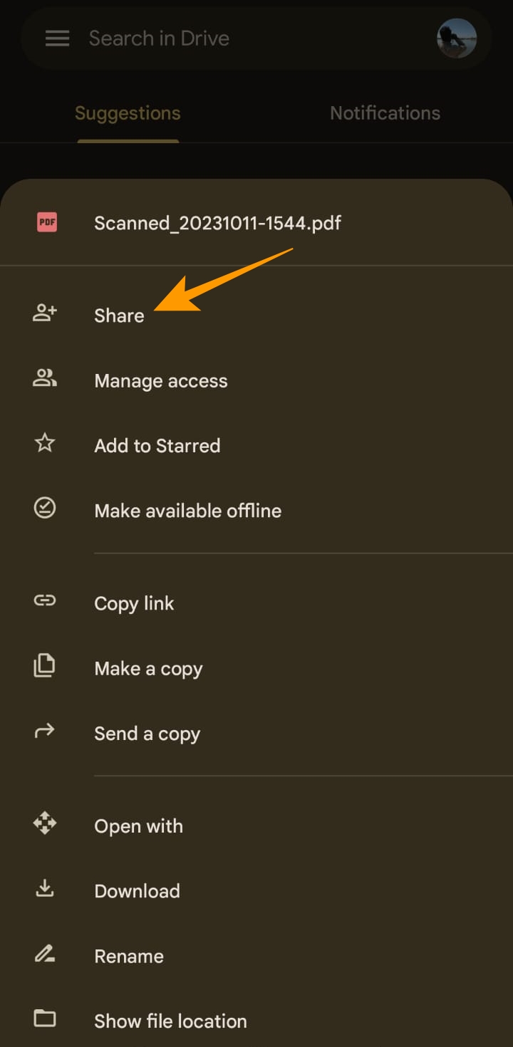 Share document option on Google Drive