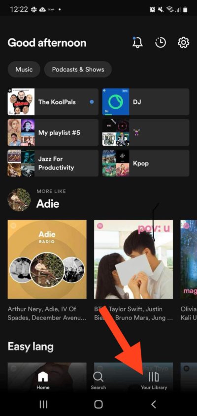 Spotify Your Library Mobile