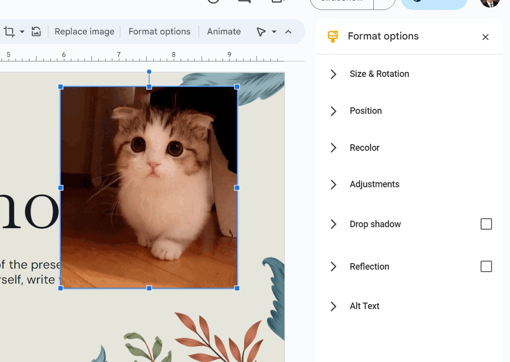 Formating of GIFs in Google Slides