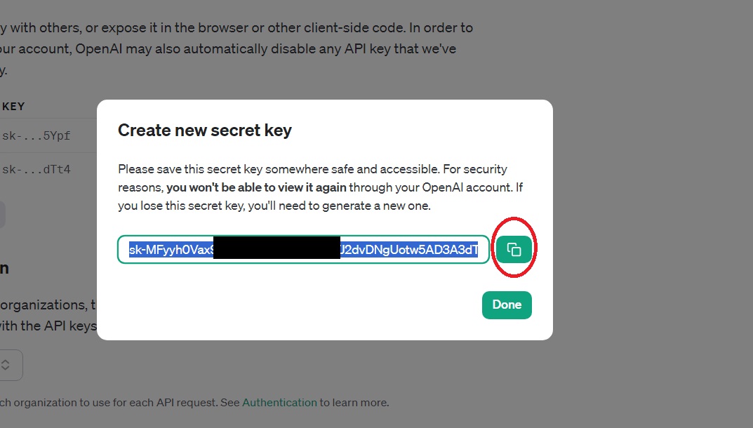 Open AI copying API key
