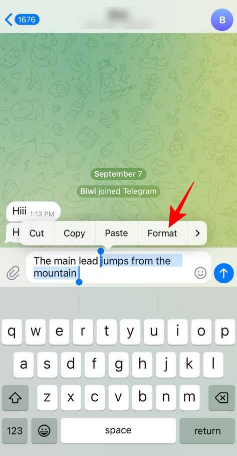 Text formatting option on iPhone