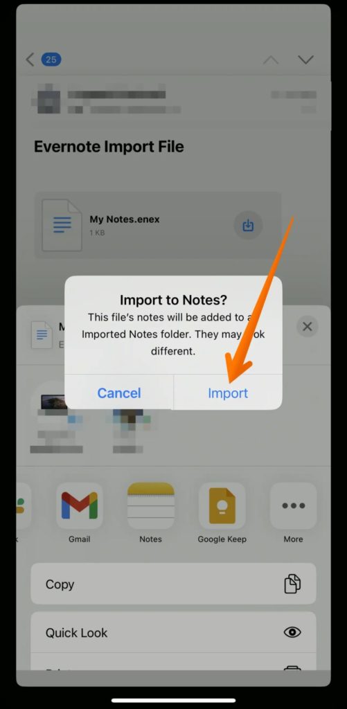 Choose Import Notes on iPhone