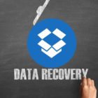 Dropbox File Recovery