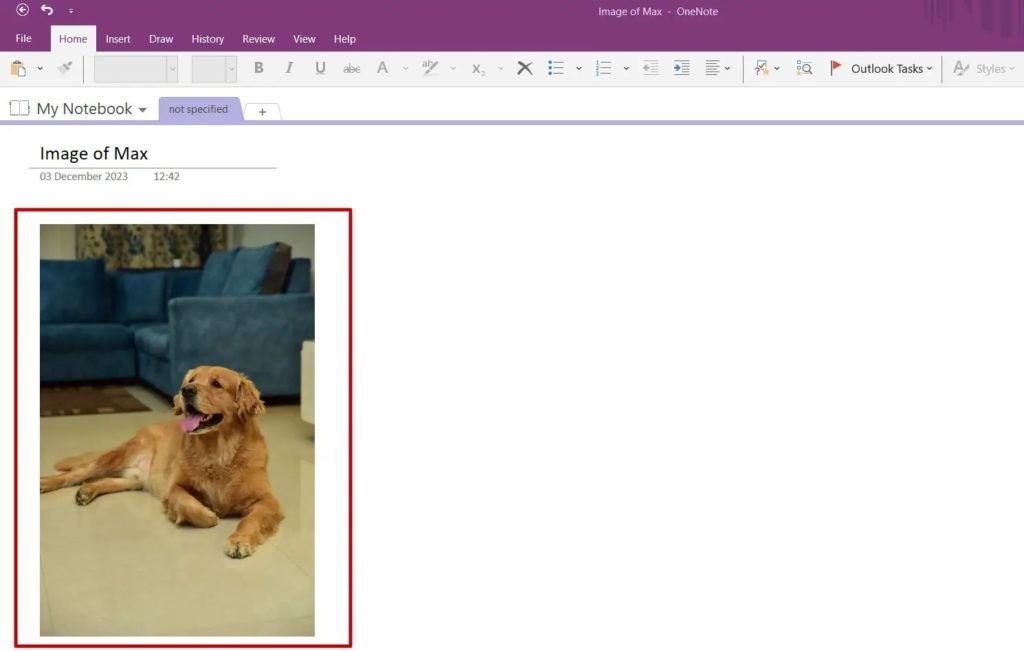 OneNote Photo Verify