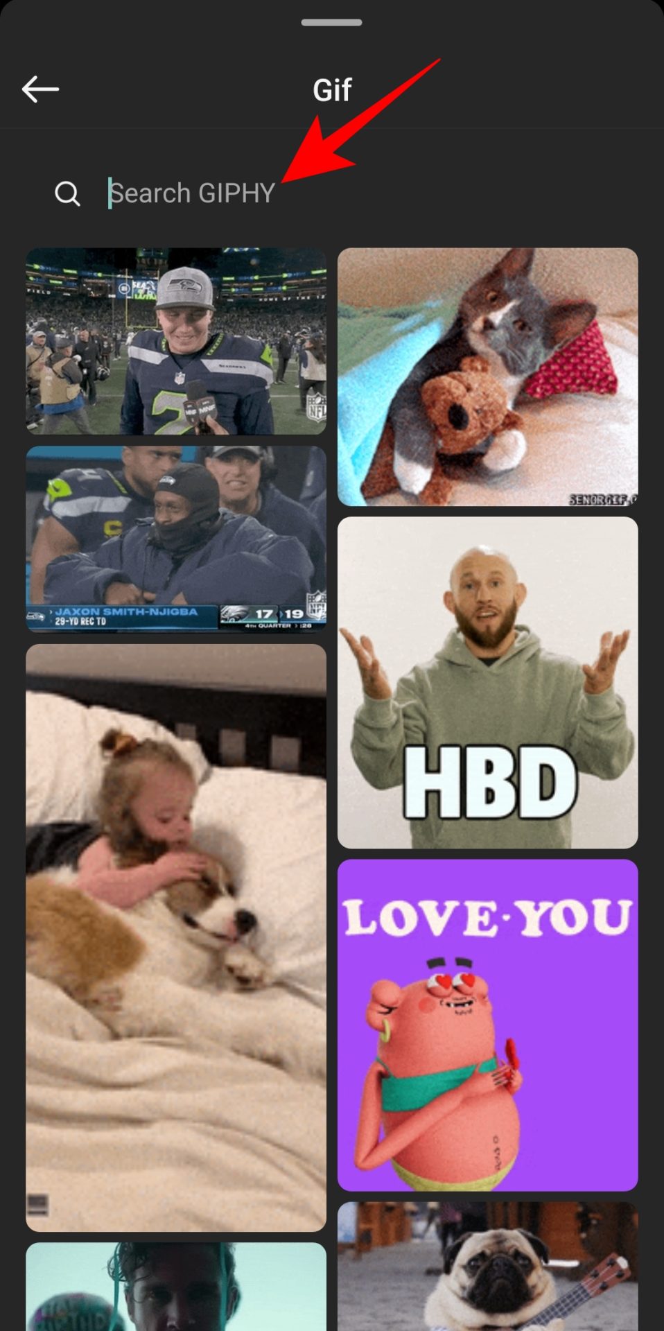Search bar in Instagram GIF tool