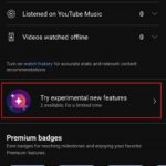 Selecting new experimental features for YouTube mobile app