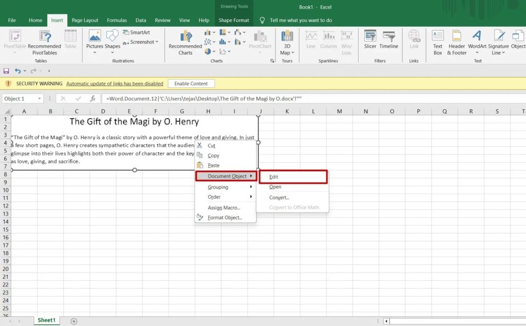 Excel Edit Document Object Option