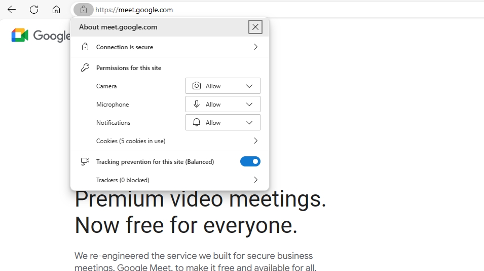 Google Meet Permissions