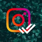 Instagram logo with double tick with a green background