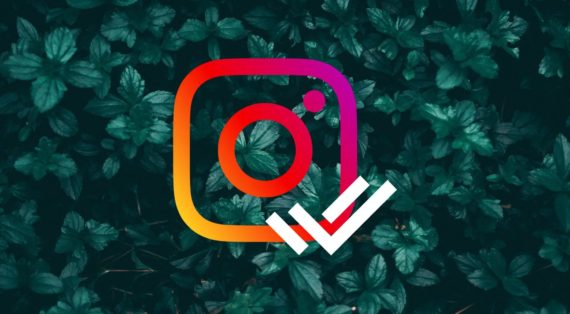 Instagram logo with double tick with a green background