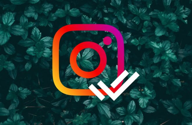 Instagram logo with double tick with a green background