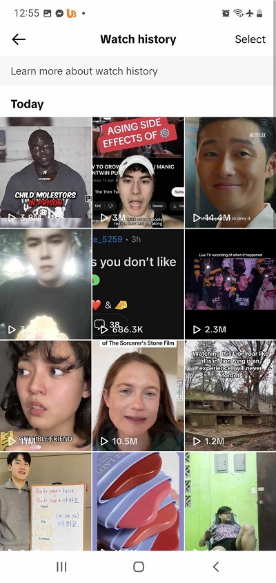 Interfaca of TikTok watch History