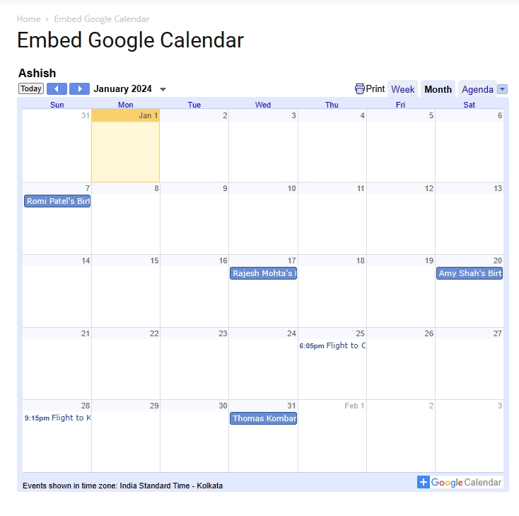 Preview of Google Calendar on WordPress