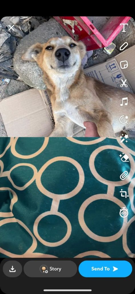 Snapchat Camera Roll Remix Outcome
