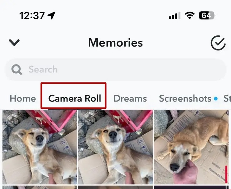 Snapchat Camera Roll
