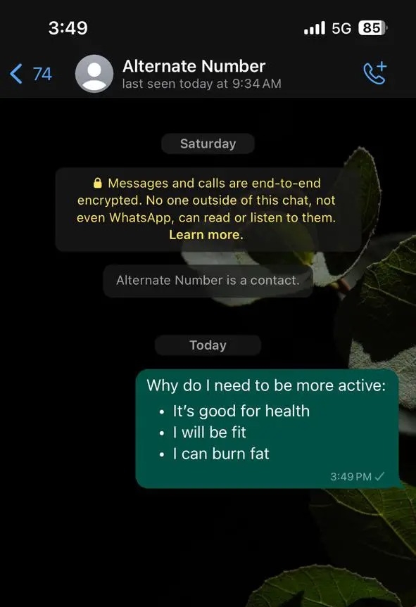 Whatsapp Formatting Bullet List Outcome