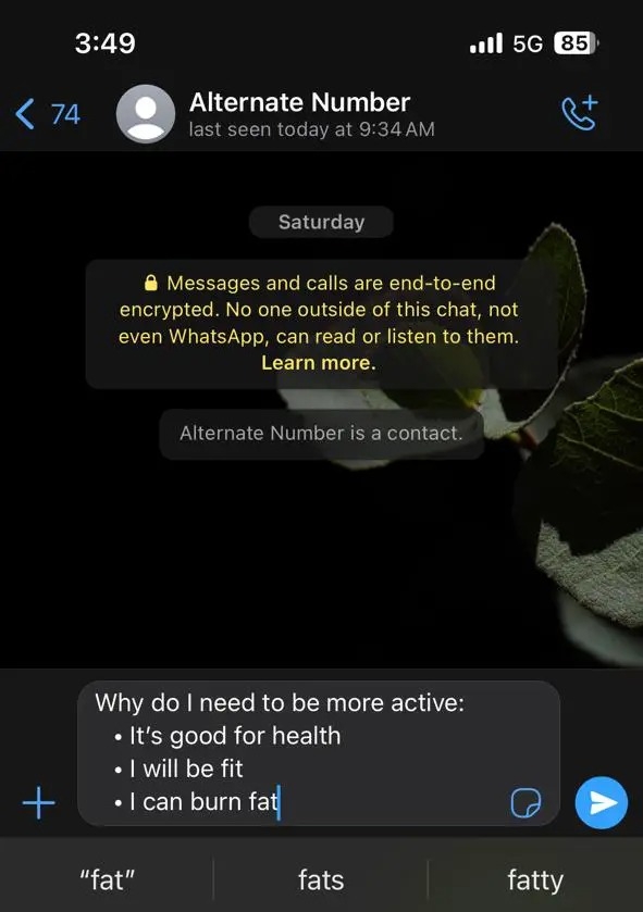 Whatsapp Formatting Bullet List