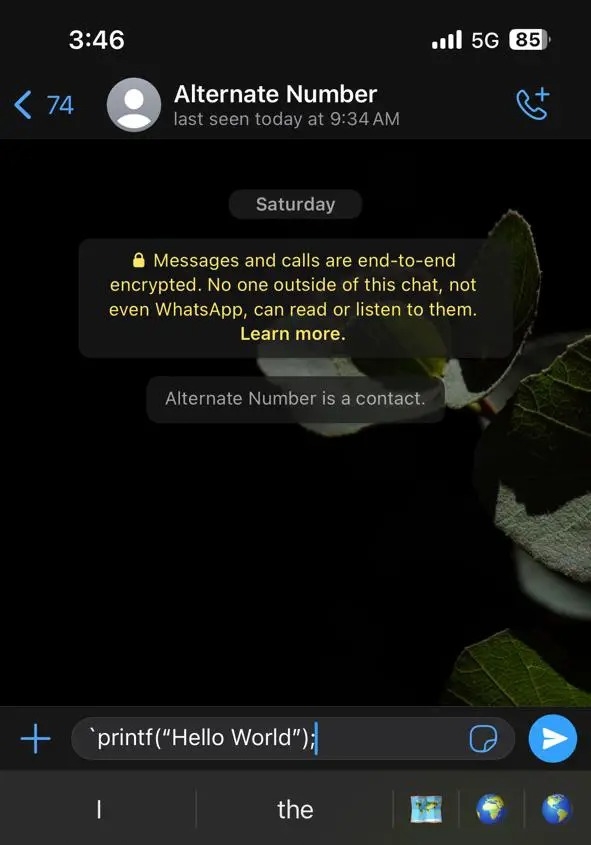 Whatsapp Formatting Inline Code