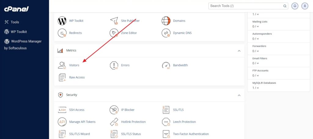 cPanel Metrics Visitors Google Analytics