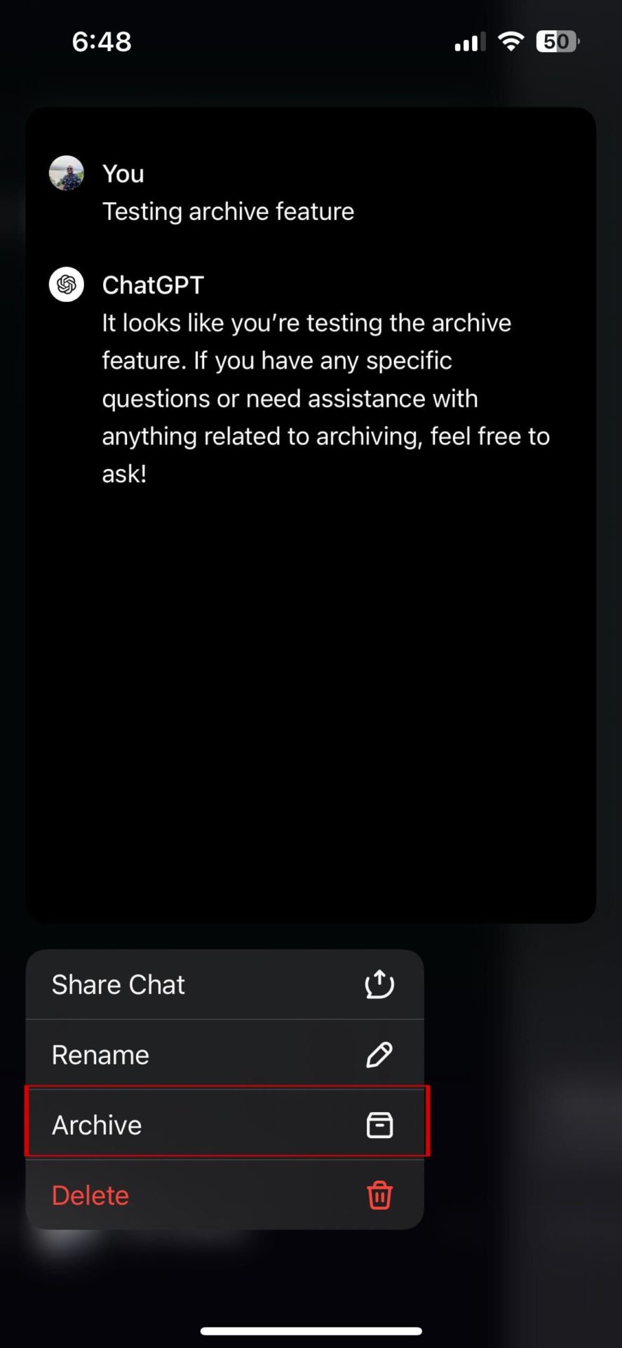 ChatGPT-App-Archiv-Chat-Option