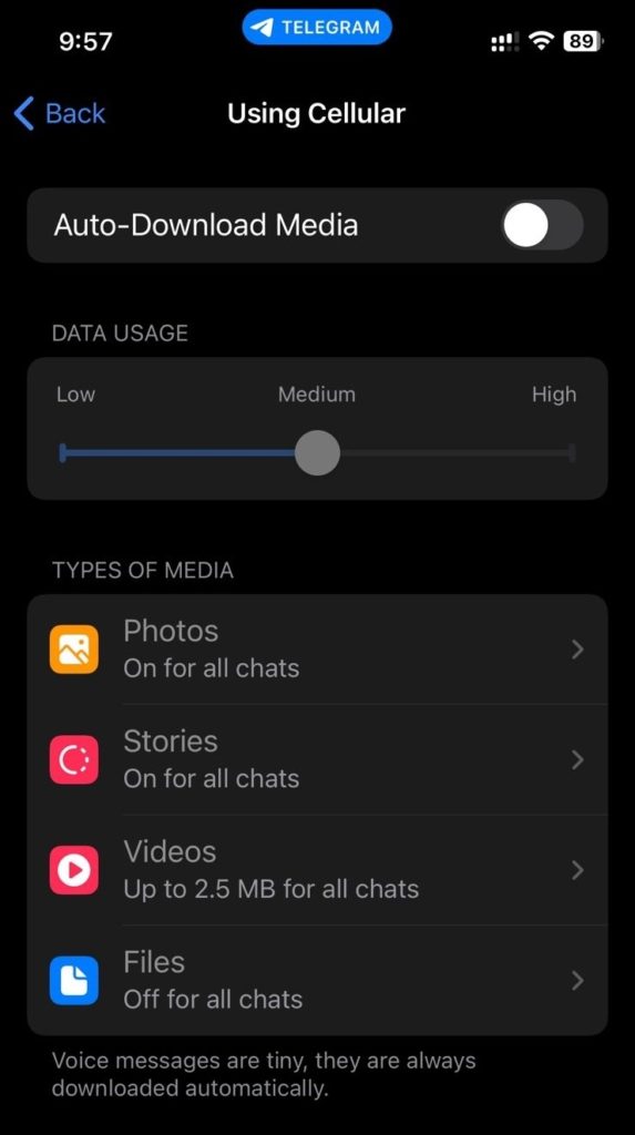Telegram Find Disable Auto Download Media