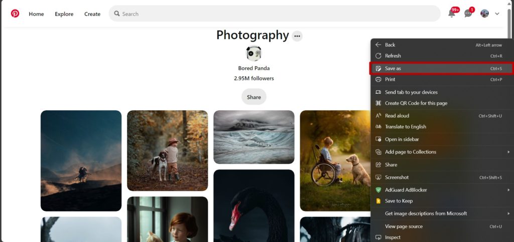 Pinterest Web Page Method Save As Option