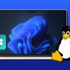 dual boot windows 11 and linux