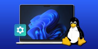 dual boot windows 11 and linux