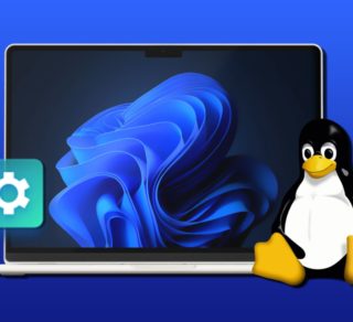 dual boot windows 11 and linux