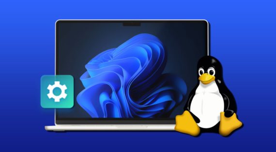 dual boot windows 11 and linux